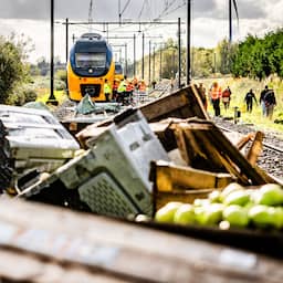 Treinen rijden weer tussen Utrecht en Den Bosch na 'gigantische operatie'