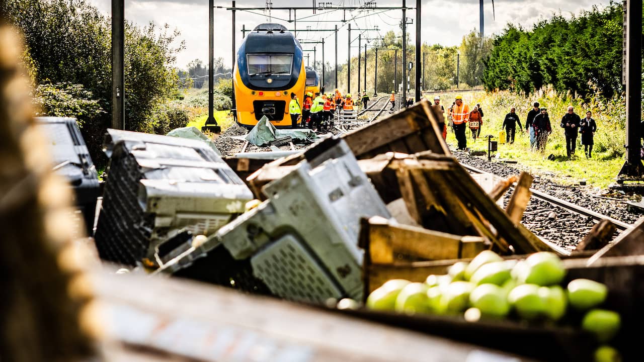Treinen tussen Utrecht en Den Bosch rijden weer na lange herstelwerkzaamheden
