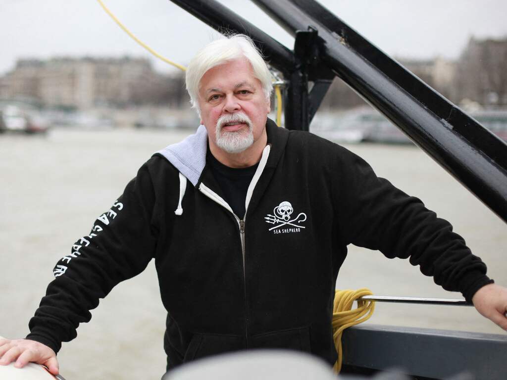 Walvisactivist en Sea Shepherd-oprichter vraagt Franse president om asiel