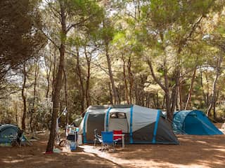 Klantgegevens boekingssites Vacanceselect en Eurocamp gestolen bij datalek