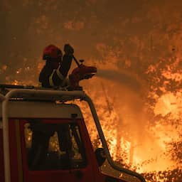 Live natuurbranden Europa | 'Ergste bosbrand in geschiedenis van Madrid'