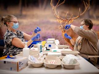 Omdat je het bijna zou vergeten: dit zijn (nu al) de voordelen van vaccineren