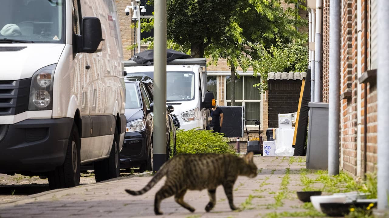 Wéér kat geraakt door kruisboog in Eindhoven, politie onderzoekt zaak