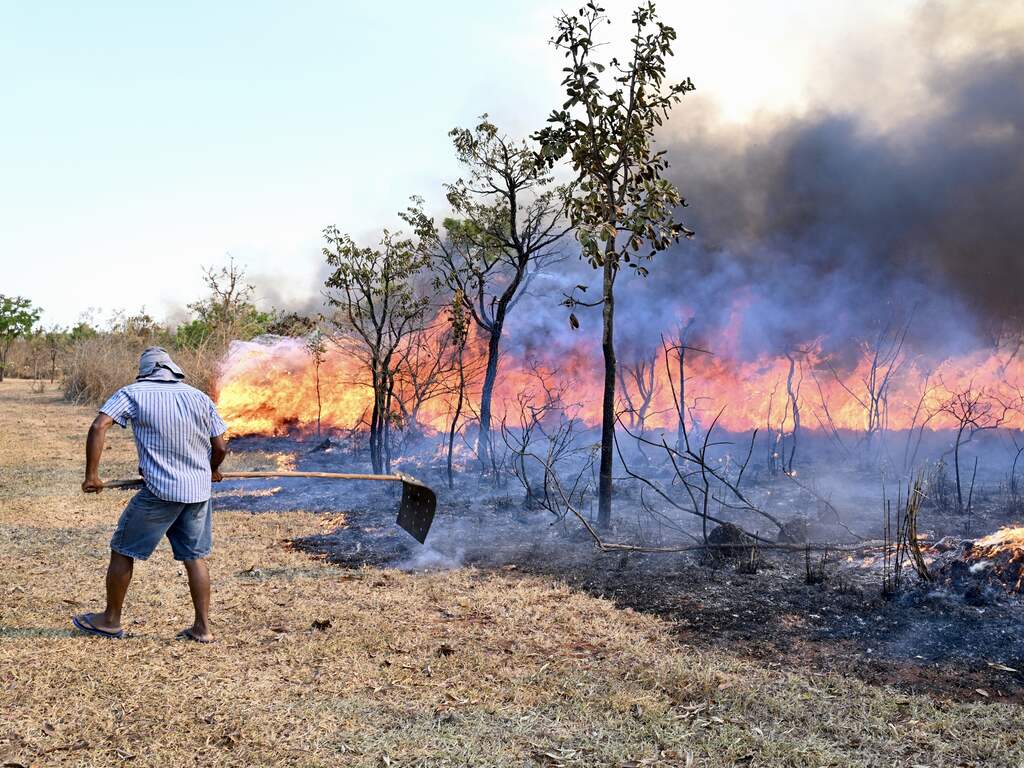 Braziliaans gebied zo groot als Italië afgebrand in 2024
