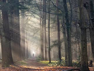 Weekweerbericht | Droge herfstweek met veel bewolking en mist