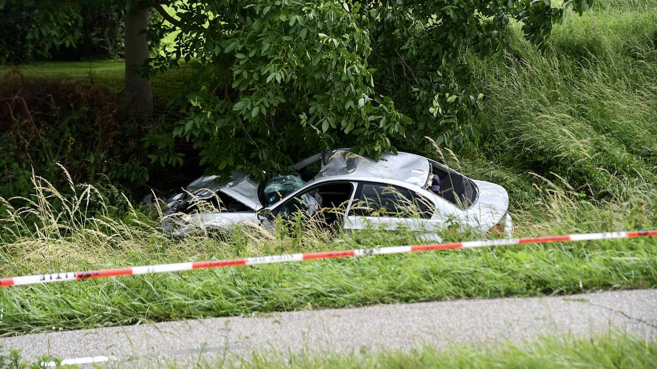 Veelplegers zoals verdachte ongeluk Vogelwaarde zijn lastig aan te pakken
