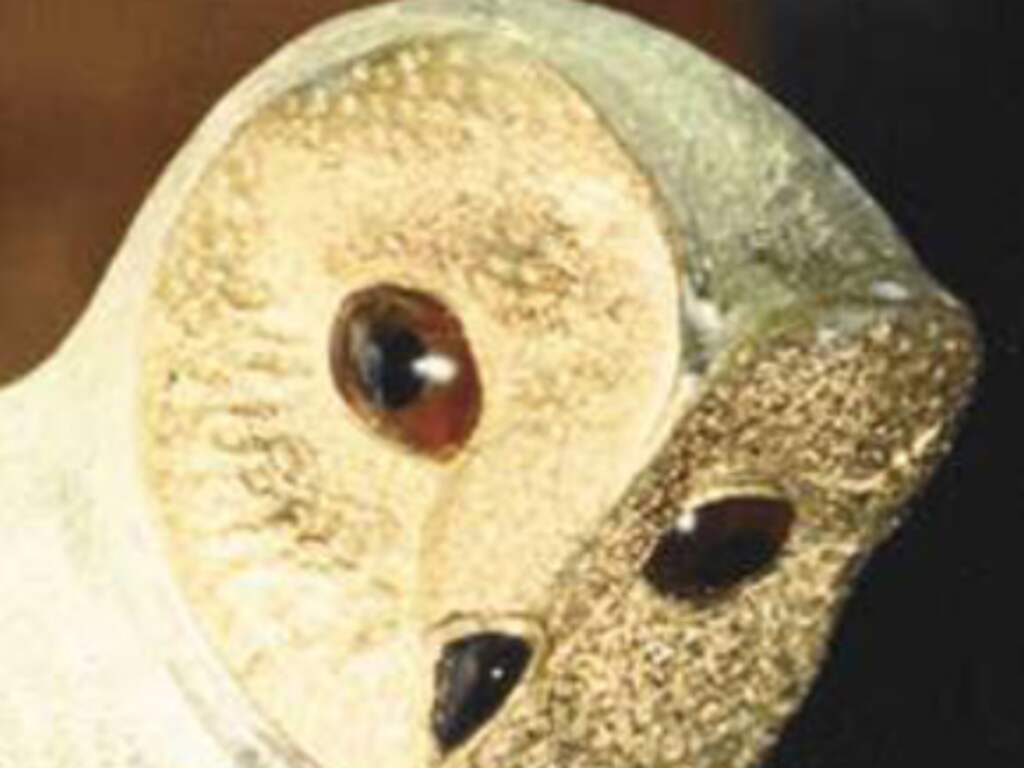 Franse puzzelaar vindt uilenbeeldje na speurtocht van 31 jaar