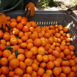 Producten uit illegale Israëlische nederzetting weren is (gewenste) symboliek