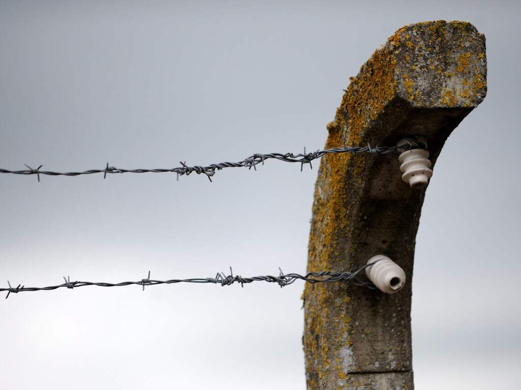 Duitsland gaat door VS uitgeleverde kampbewaker (95) niet vervolgen