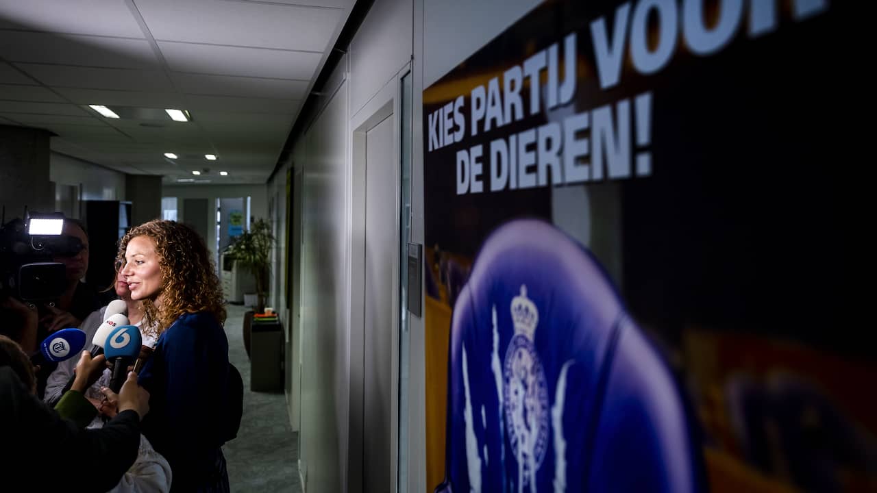 chaos-compleet-bij-pvdd-tweede-kamerfractie-verdeeld-over-positie