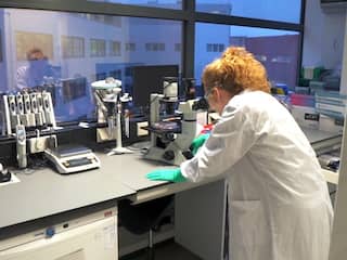 Leids coronavaccin van Janssen beschermt voor 66 procent tegen COVID-19