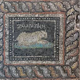 Archeologen vinden 1800 jaar oud mozaïek met mogelijke huisdieren in Turkije