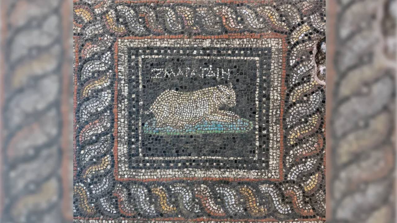 Archeologen vinden 1800 jaar oud mozaïek met mogelijke huisdieren in Turkije