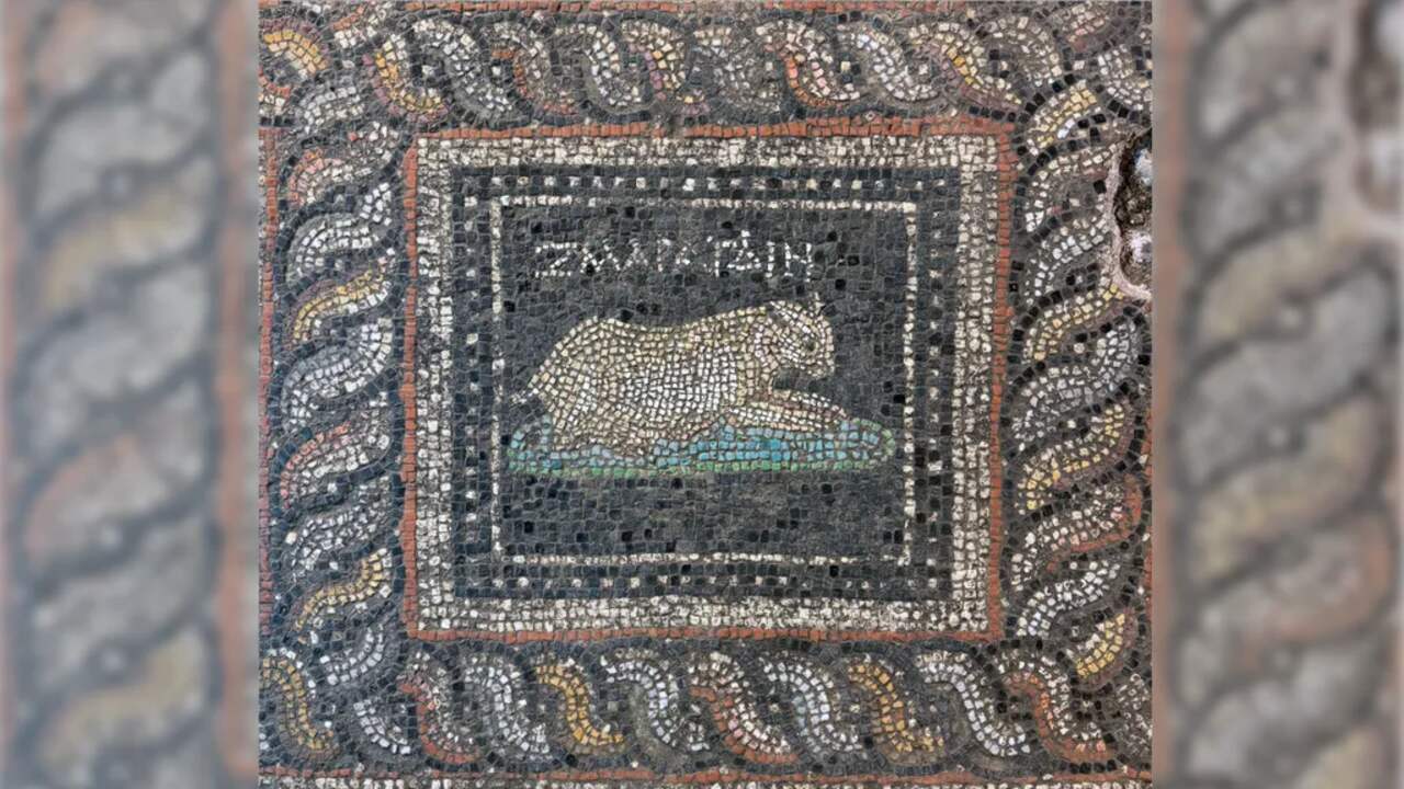 Foto bij Archeologen vinden 1800 jaar oud mozaïek met mogelijke huisdieren in Turkije