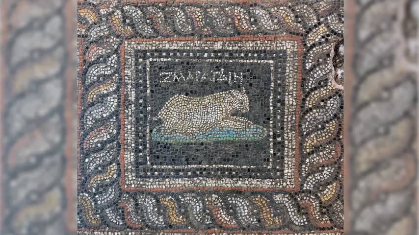 Archeologen vinden 1800 jaar oud mozaïek met mogelijke huisdieren in Turkije
