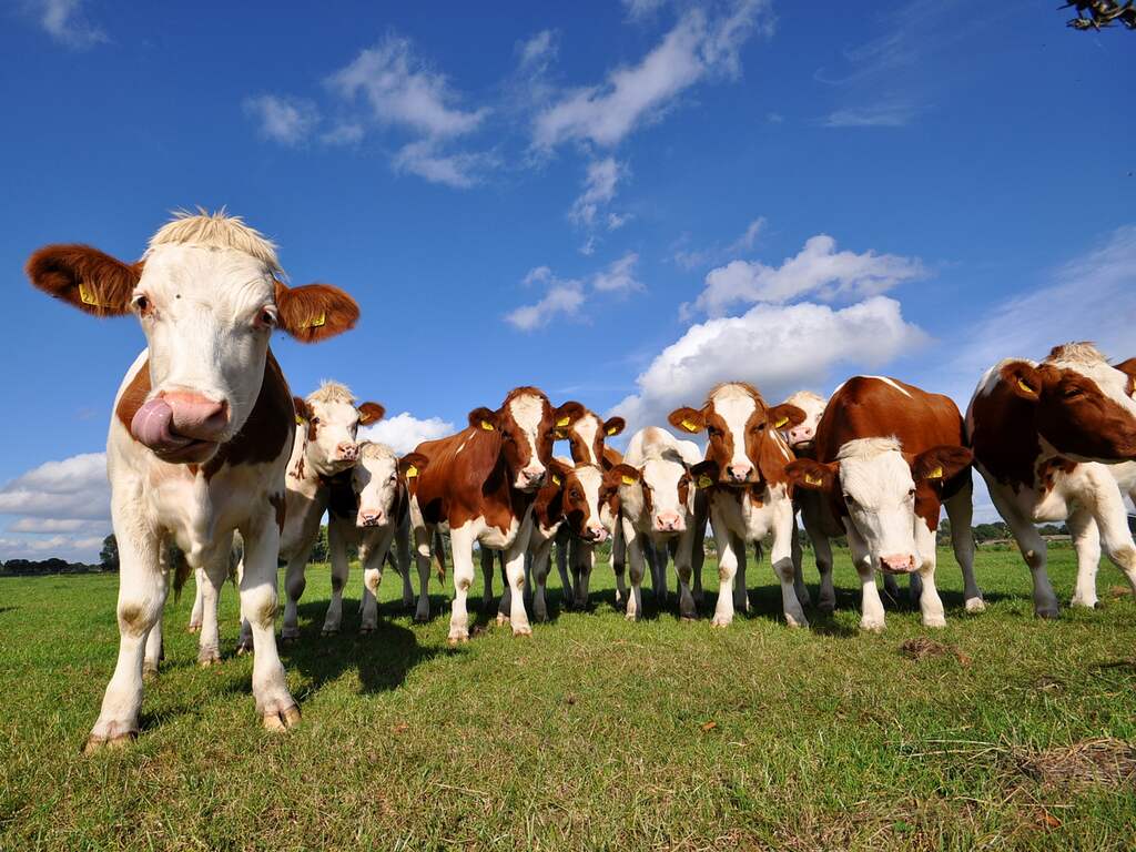 Zaterdag 1 oktober: De oktobermaand begint licht bewolkt in Zuidoost-Brabant.
