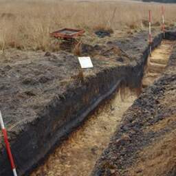 Archeologen vinden zeldzaam Romeins legerkamp op Veluwe