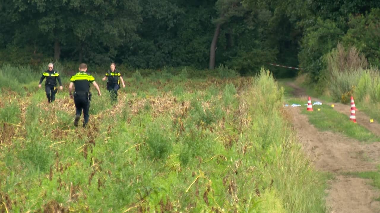 Video | Politie onderzoekt Limburgs bosgebied waar lichaam is gevonden
