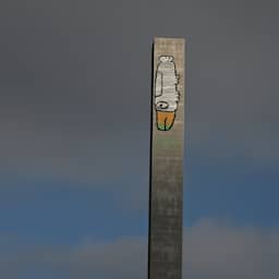 Australische graffitiartiest spuit vogel op hoge brug: 'Stuur me wat eten'