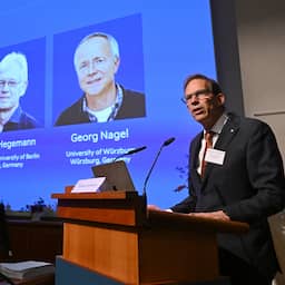 Nobel Prize in Medicine for groundbreaking brain research