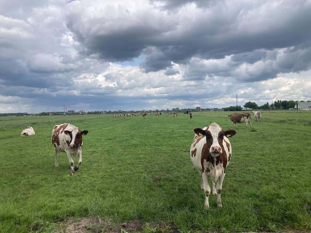 Natte voeten voor boeren, terwijl iets verderop een heel nieuw dorp komt