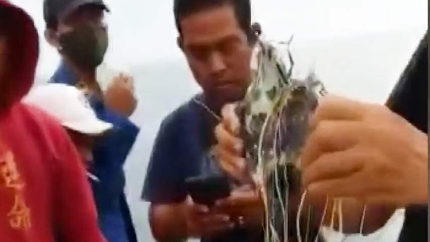 Lokale vissers vinden mogelijke wrakstukken van Indonesisch vliegtuig