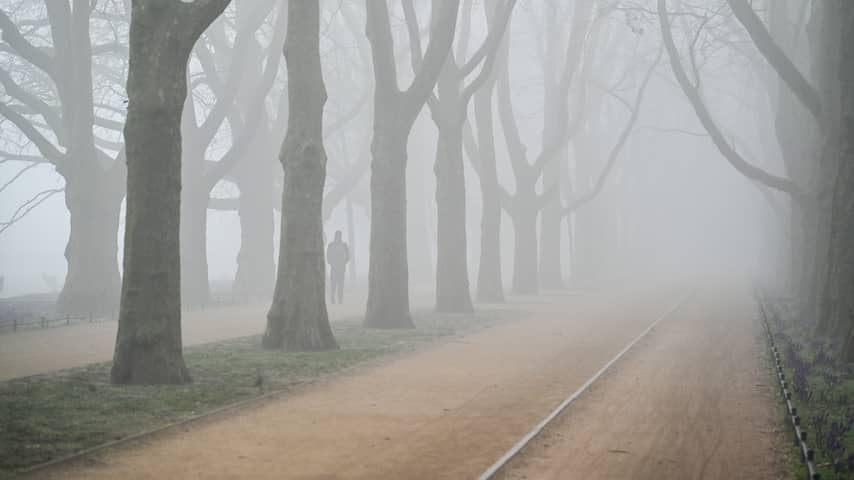 Weerbericht | Mist en motregen geven deze winterdag een herfstsfeer |  Weerbericht | NU.nl