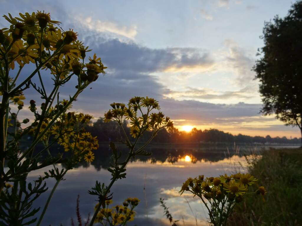 Vrijdag 12 juli: Zonsopkomst met bewolking vrijdagmorgen in Beek en Donk, Noord-Brabant.