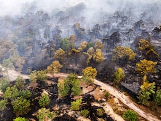 Brandweer Limburg wil brand aan bosrand stoppen, noodverordening van kracht