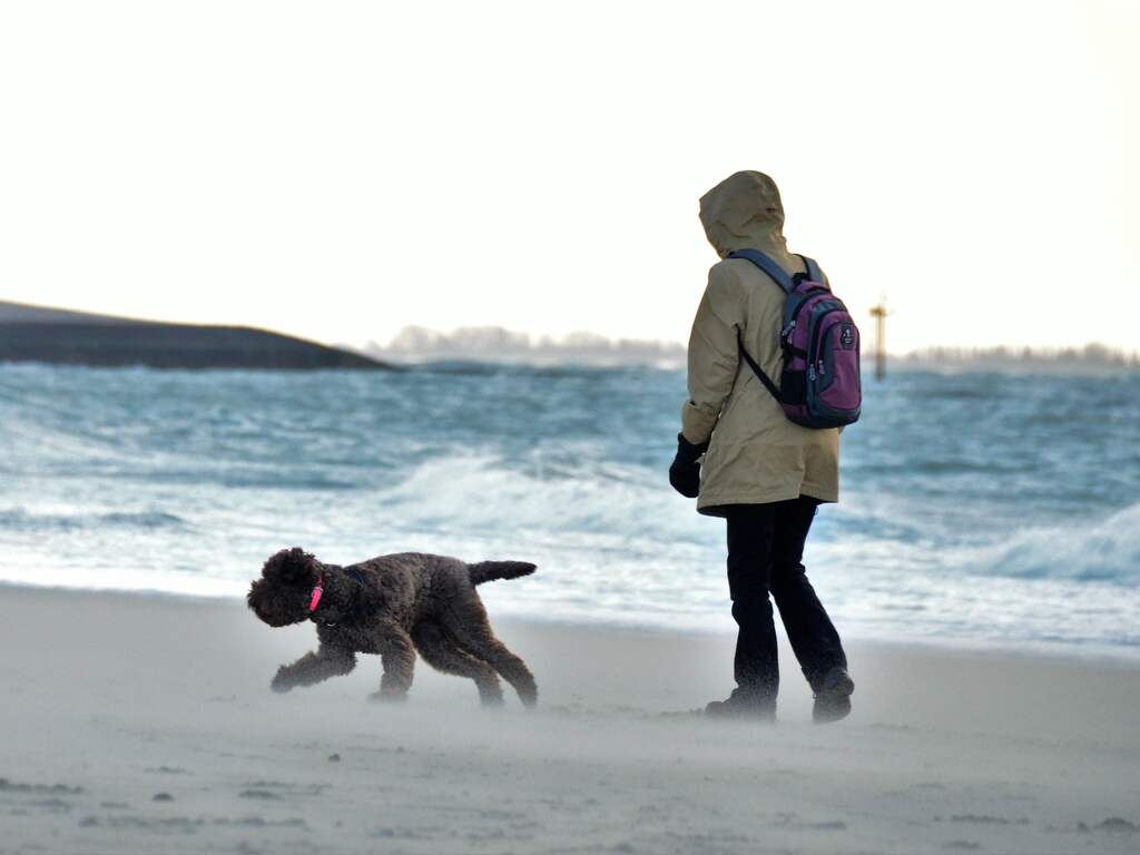 Zondag 12 november: Aan het strand van Vlissingen staat zondag een harde, frisse wind.