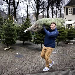 Sinterklaas is weer weg en dus kopen Nederlanders direct een kerstboom