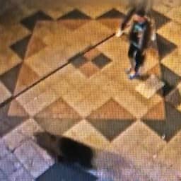 Video | Beer rent langs inwoners in centrum Japans