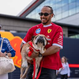 Hamilton rouwt om overlijden hond Roscoe: 'Ben mijn beste vriend verloren'