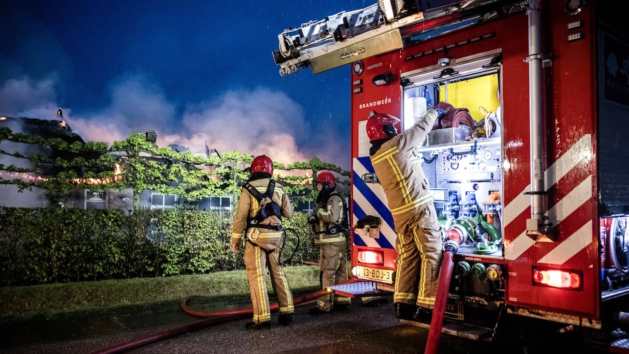 Hond en katten gered uit brandend wooncomplex in het Limburgse Eygelshoven