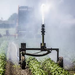 Kletsnatte lenteén zomer nodig voor grondwater: 'Begonnen al met achterstand'