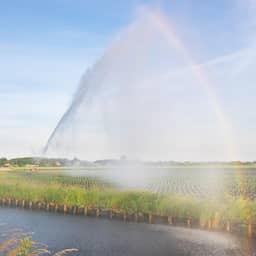 Waterschappen zetten zich schrap: gevolgen van droogte worden groter
