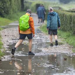 Gras wordt weer wat groener door regen, maar onder de grond blijft het droog