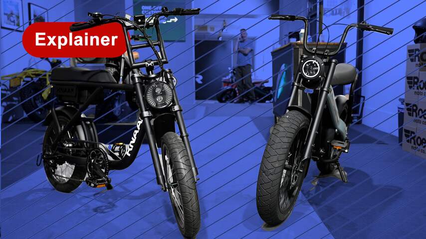 Het verschil tussen een fatbike en een skinnybike: wij leggen het uit