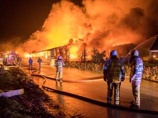 Oorzaak helft stalbranden in 2020 niet te achterhalen door hevigheid brand