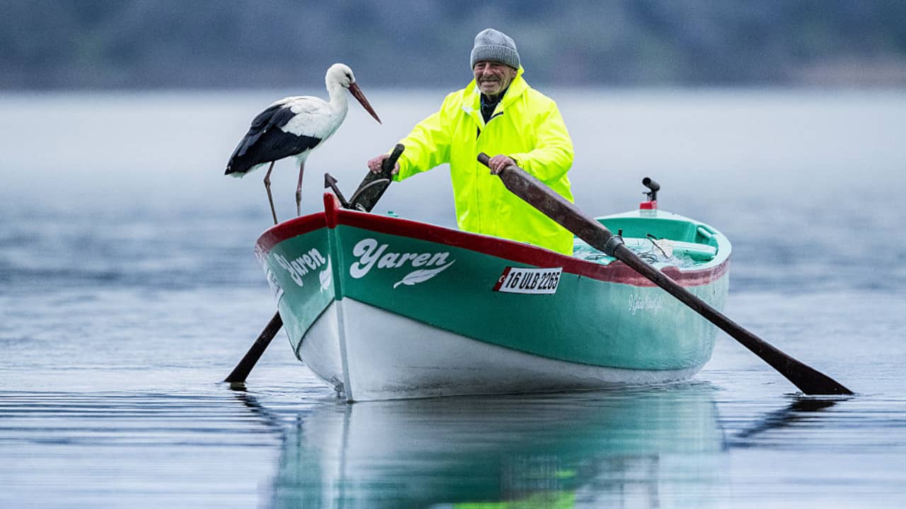 Turkse visser viert vijftiende jubileum van jaarlijkse reünie met ooievaar