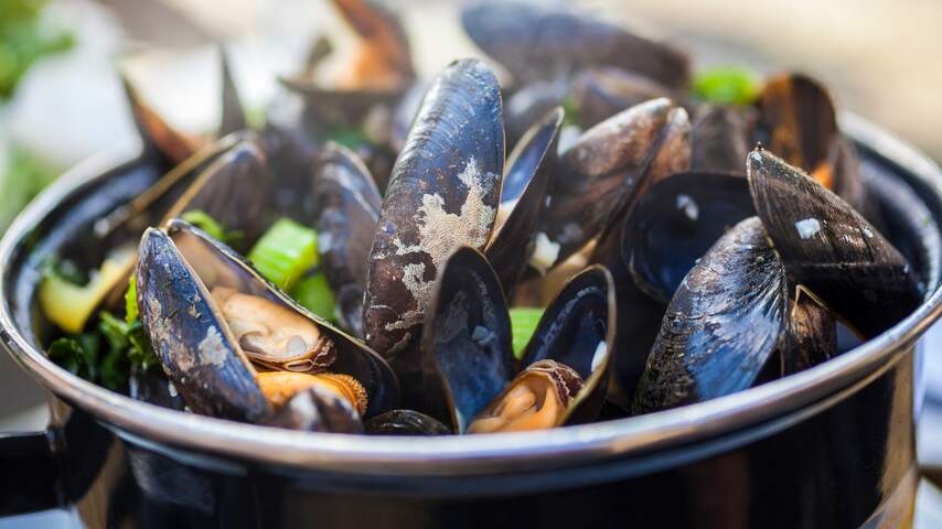 wanneer mosselen eten