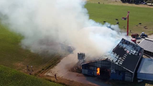 Drone filmt vlammen uit stal waar koeien omkomen