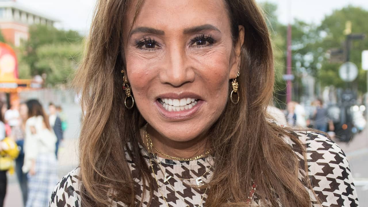 Gijp-auteur Michel van Egmond werkt aan boek over Patty Brard | Boek