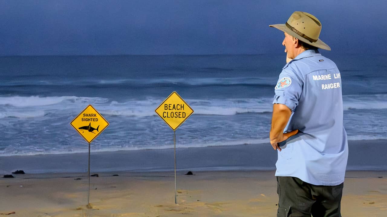 Man overleden na aanval door haai voor kust van West-Australië
