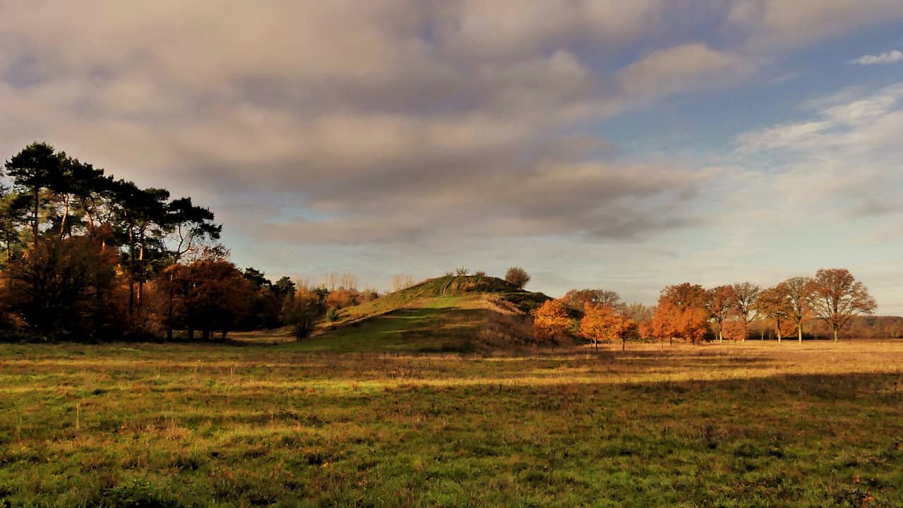 Eerste (natte) sneeuw van het najaar valt hoog in Limburgse heuvels