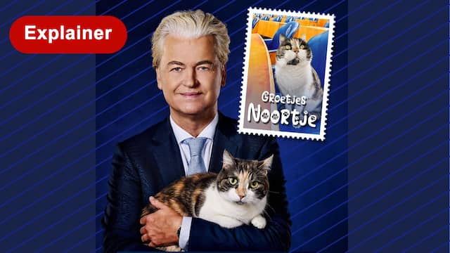 Van poep vangen tot kebab snijden: zo winnen politici je stem online