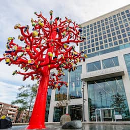 Agent die naar onderwereld zou lekken kreeg belofte miljonair te worden