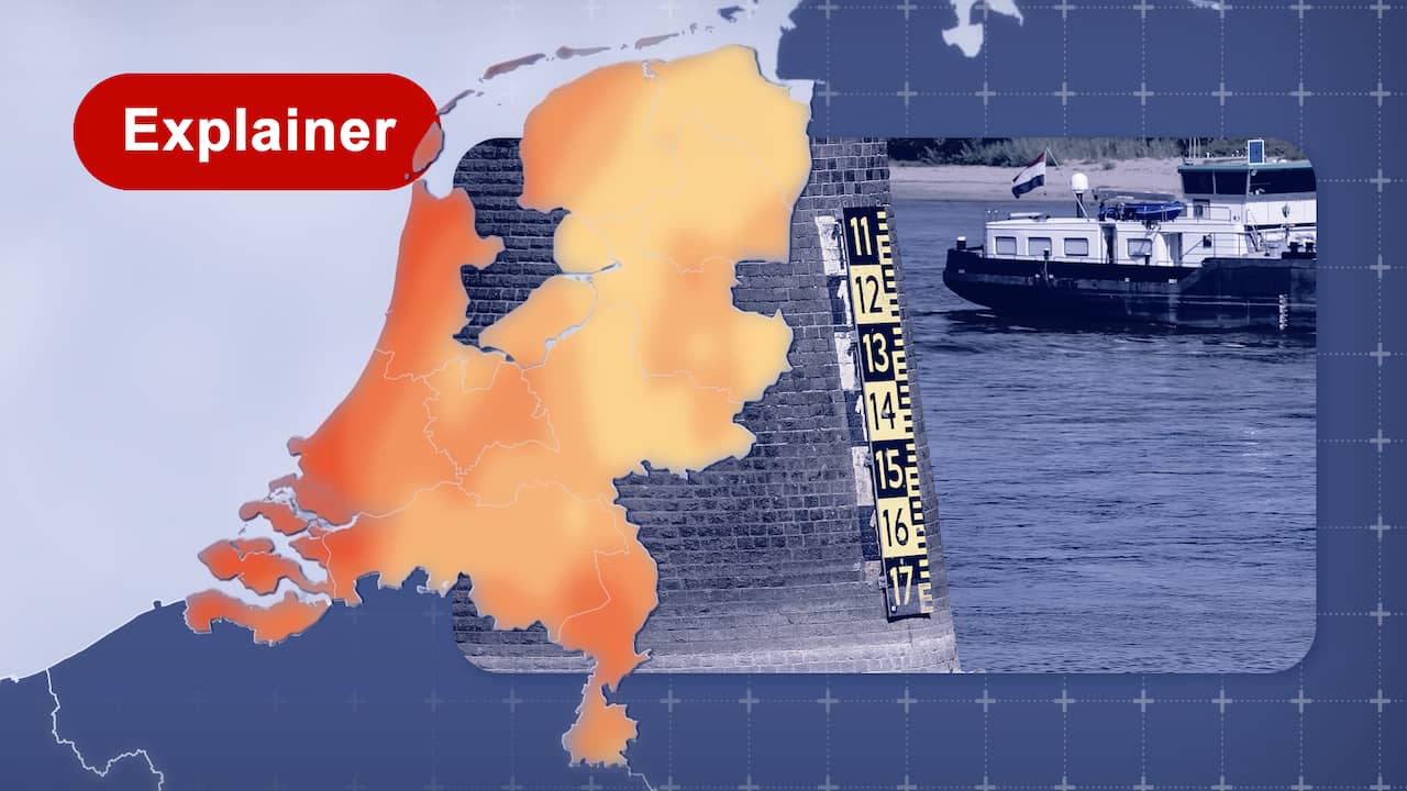 Rijn op zijn laagst en flink regentekort: dit is de droogte in Nederland