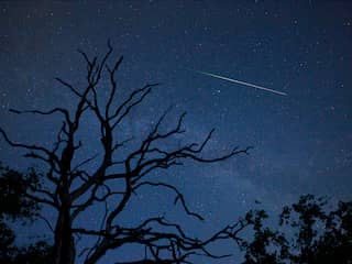 Zo laat je de volle maan jouw nacht vol vallende sterren niet verpesten