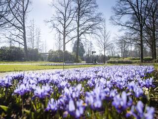 Het is de warmste 3 maart ooit gemeten: record uit 1930 gebroken